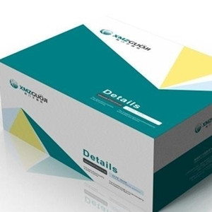 �����b�r�������